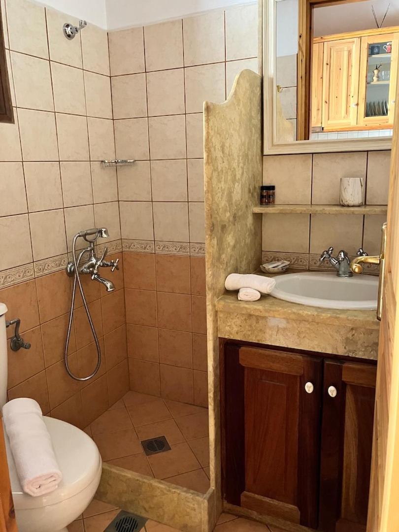 Litois Houses Patmos Sapsila Pokój zdjęcie